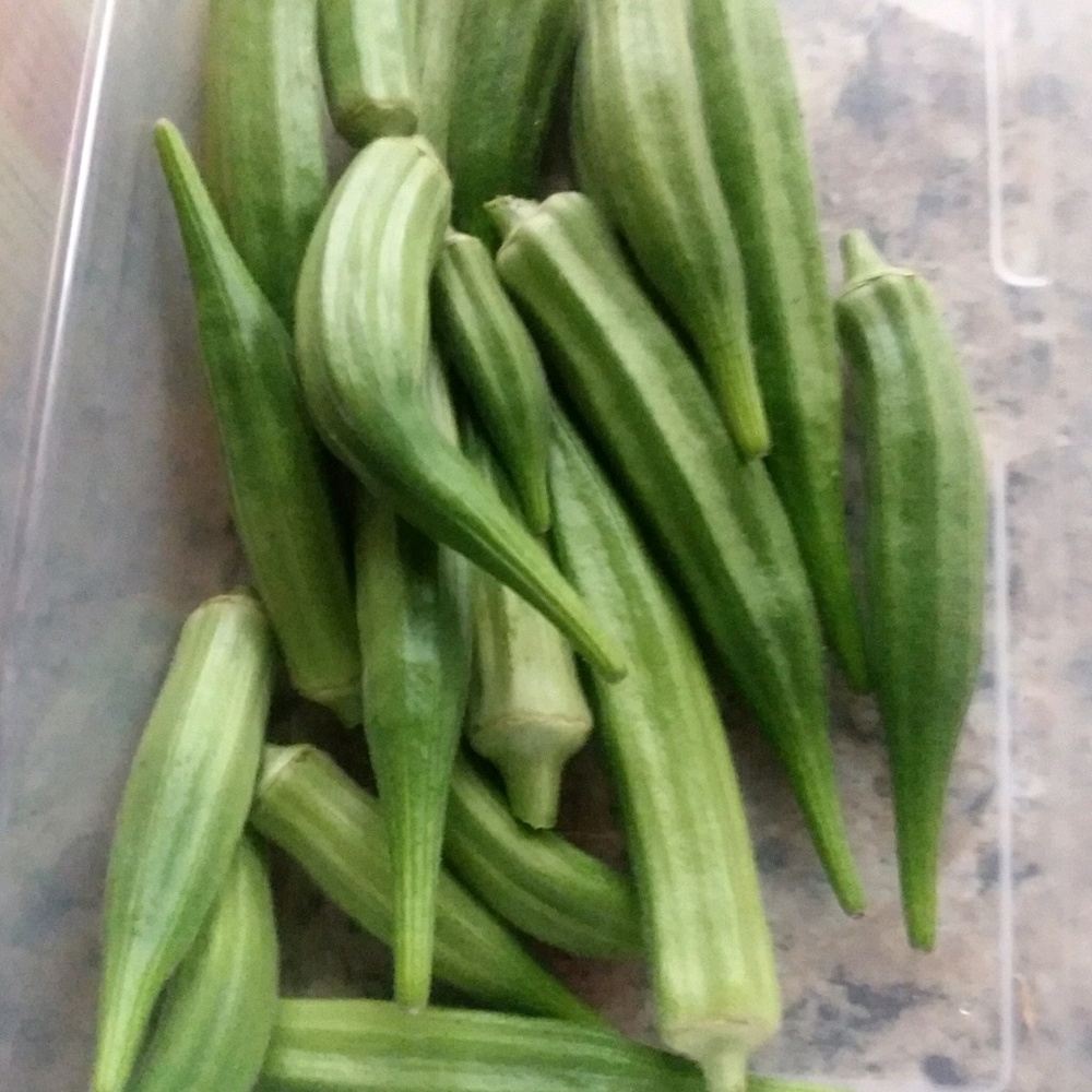 Meet your Posher, Jenette